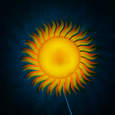 40.webp